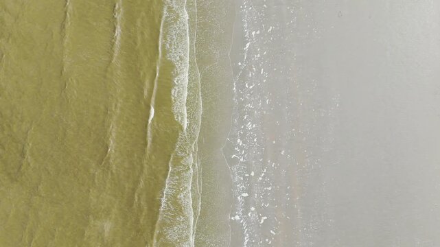 Top-down aerial drone shot flying along a Belgian beach with ocean waves on one side and sandy shoreline on the other. People walking along the coast appear at the end of the cinematic shot.