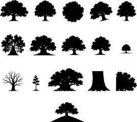 Oak tree silhouette set. Large canopy tree, bare tree, trunk and leaf cluster icons © raccoontail
