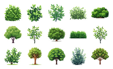 Fototapeta premium PNG Variety of lush green foliage on transparent background