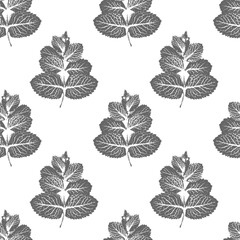  pattern with mentha piperita leaf nature prints, monochrome dark grey peppermint ink stamp foliage for eco packaging and textile design, minimalist black and white color palette, vector repeat backgr © MarhaRyta