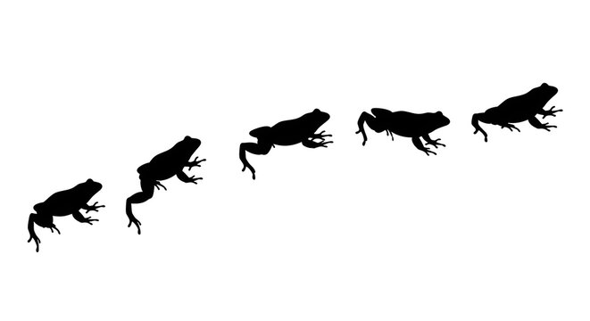 Silhouette of frog jumping in black on white background with dynamic movement and natural theme for wildlife or environmental use