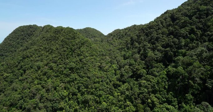 Green landscape of Langkawi Cambrian formations, covered with lush tropical rainforest, viewed from descending cable car. Vibrant steep slopes of ancient peaks reveal untouched nature of island
