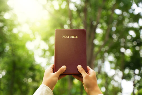 The concept of reading the Bible and praying to God for blessings, living peacefully in nature and spending time with God, with a hand holding a Bible.