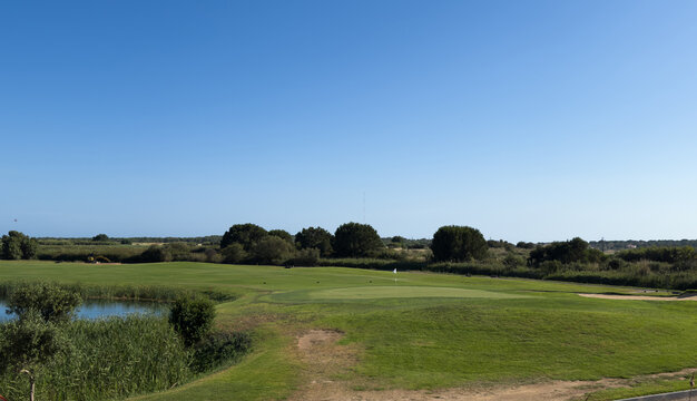 Vibrant green golf course landscape with mature trees under a clear blue sky 