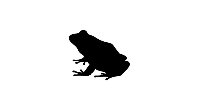 Silhouette of a small frog sitting on a plain white background for nature and wildlife themes