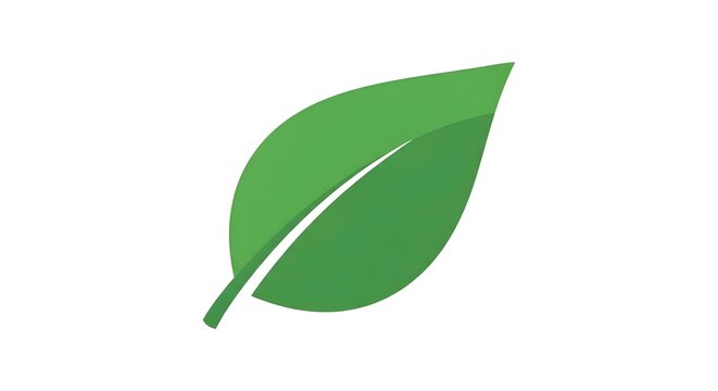 Fresh green leaf with prominent veins isolated on white background for eco friendly lifestyle and nature concepts