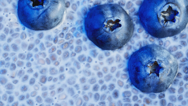 Macro shot of chia pudding in almond milk with fresh blueberries top view background. Healthy dessert organic texture for design project, menu, food banner, social media post and wellness advertising.