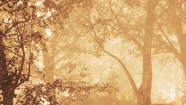 Sunlight filters through the trees in a forest setting. Leaves catch light and create a warm atmosphere. The scene shows a peaceful moment in nature with soft shadows and foliage.