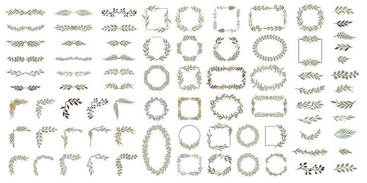 Big set of botanical frames, borders, dividers, and hand-drawn floral elements vector illustration
