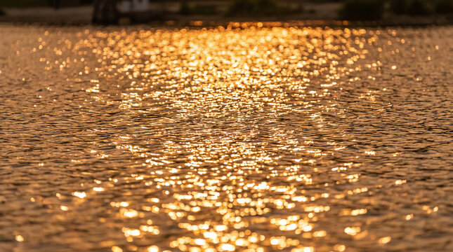 Golden sunlight glimmers on rippling water, creating a sparkling, warm, and tranquil scene.