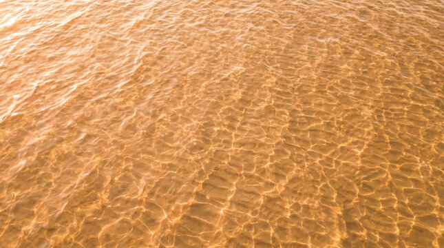 Sunlit shallow water with rippling patterns over a sandy bottom, creating a warm golden texture.