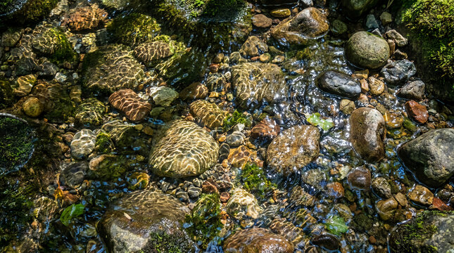 Clear water flows over multicolored rocks and pebbles, creating natural patterns and reflections in a shallow streambed.