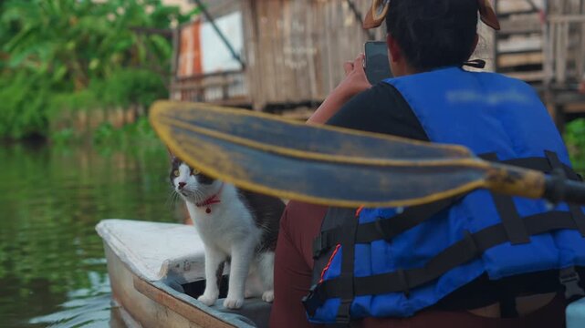 Domestic cats riding boat with paddlers at Lat Krabang water canal in Thailand, Curious pet feline traveling by canoe with people at Bangkok floating market 4k