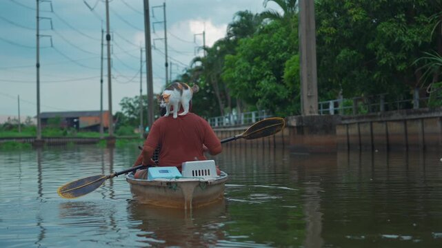 Domestic cats riding boat with paddlers at Lat Krabang water canal in Thailand, Curious pet feline traveling by canoe with people at Bangkok floating market 4k