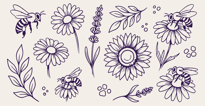 hand drawn sunflower bee seamless pattern, vintage daisy bee vector illustration, purple floral bee line art background, honeycomb sketch fabric print design, bee botanical wallpaper pattern design, h