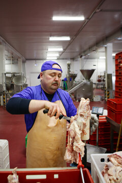 Man, a meat shop worker, cuts up chicken carcasses. Lean meat. Working at a meat processing plant. Concept of meat processing business