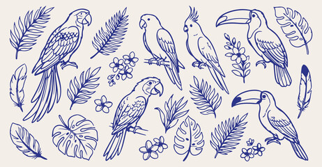 hand drawn parrot tropical seamless pattern, vintage parrot bird vector illustration, blue tropical bird line art background, parrot foliage sketch fabric print design, exotic bird wallpaper pattern d © Geetaroy
