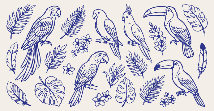 hand drawn parrot tropical seamless pattern, vintage parrot bird vector illustration, blue tropical bird line art background, parrot foliage sketch fabric print design, exotic bird wallpaper pattern d