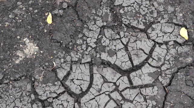 Detailed view of cracked asphalt pavement texture showing road surface deterioration, weathering and urban infrastructure wear