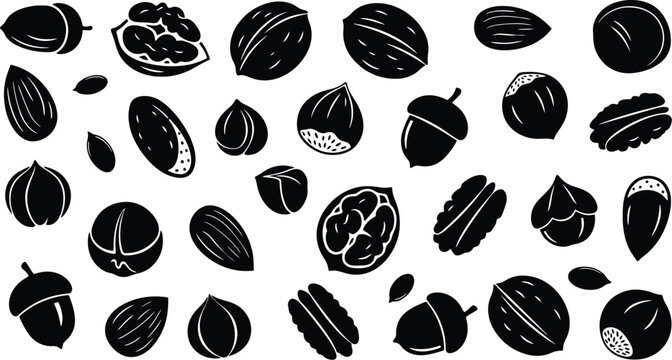 Black silhouette nut collection walnuts almonds acorns and hazelnut vector set