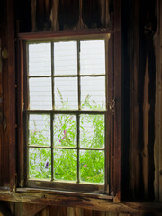 Fototapeta premium Garden Window