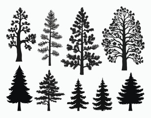 Obraz premium Pine and oak tree silhouette. Set of icons with black figures of spruce, pine, wild forest trees and woodland. Design Element for Logo. Flat vector illustration collection isolated on white .