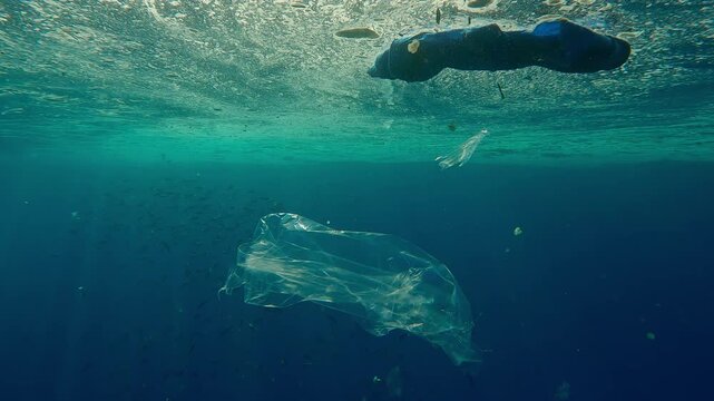 Bright sunlight shines through the water surface covered with plastic waste and a layer of grease, with the sun glare on the back lighting, fishes eat fat on the background.