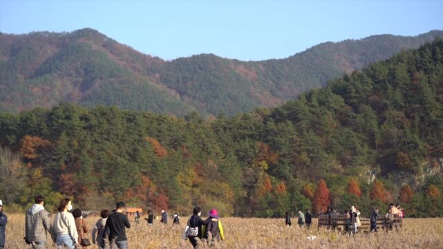 People enjoying a stroll through a beautiful autumn field with colorful mountains in the background