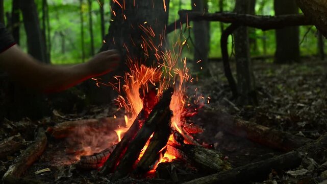 Close up shot of a man's arm adding firewood to warm glowing bonfire at twilight campsite with pristine natural soundscape of splitting wood, sizzling flames and relaxing evening birds chirping ASMR