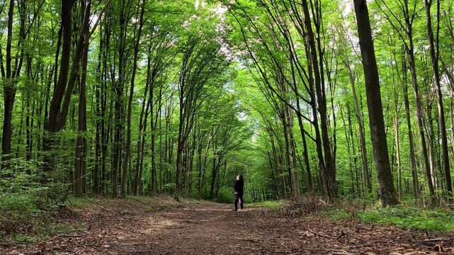 Distant silhouette of a woman in black walking through Codrii Pascanilor forest, with magical sunbeams streaming through the green trees.