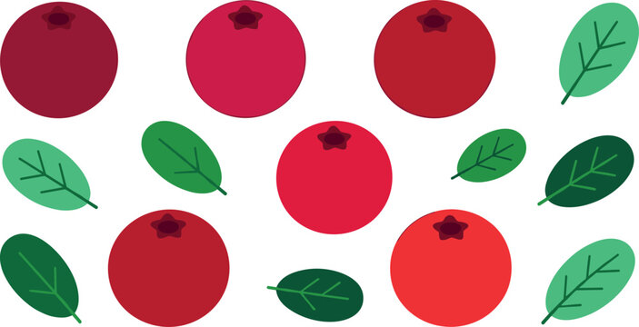 Fresh red cranberry or cowberry vector illustration set with small green leaves isolated on white background for autumn harvest organic food graphic design