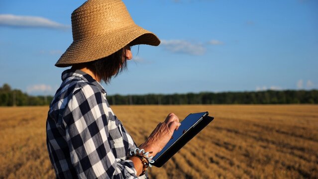 Adult farmer using digital tablet at wheat meadow on sunny day. Female agronomist monitoring harvest at barley field. Beautiful scenic landscape. Concept of agricultural business. Slow motion