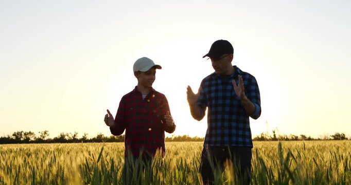 Father and son farmer walk through wheat field at sunset, discussing future of family farm and agricultural traditions. Countryside scene. Farm succession, shared values and generational continuity.