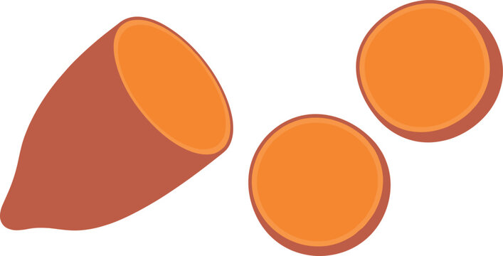 Fresh orange sweet potato vector illustration set with a cut half and round sliced pieces isolated on white background for culinary recipe graphic design