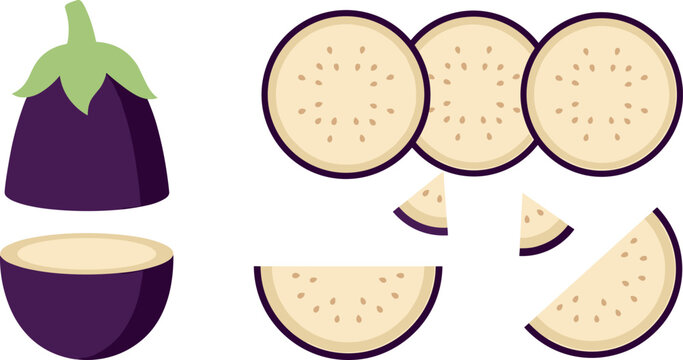 Fresh purple eggplant vegetable vector illustration set with chopped half and round sliced pieces isolated on white background for culinary organic food recipe design