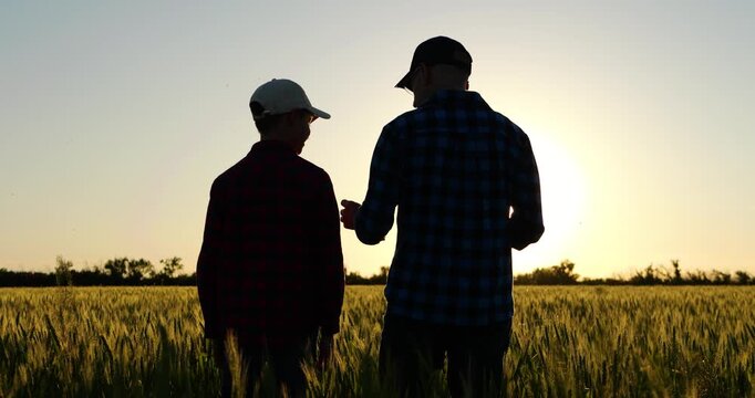 Father and son silhouettes walk through wheat field at sunset, discussing family farming and future plans. Countryside scene represents agricultural heritage, shared values and family agribusiness.