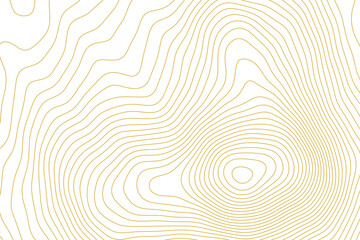 Golden topographic contour lines on white background, representing mathematical visualization of abstract geographic terrain elevation. © Arina