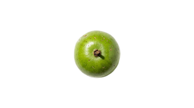 A green umbu fruit on transparent background Typical brazilian food,