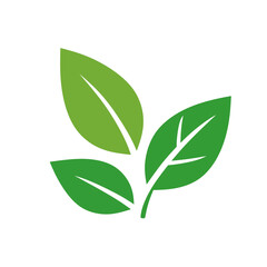 Fototapeta premium Green leaf icon. Nature symbol vector illustration.Simple green leaf symbol for eco or nature concepts