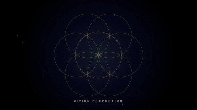 Golden Geometric Sacred Geometry Flower of Life Animation on Dark Background