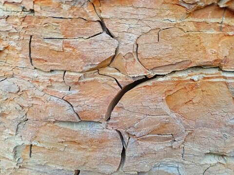 Close up texture of dry cracked claystone layer and arid orange soil background.
