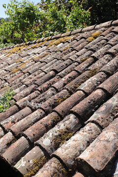 Weathered Clay Roof Tiles with Moss and Lichen on Traditional Building