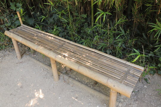 Rustic Bamboo Bench in a Natural Garden Setting
