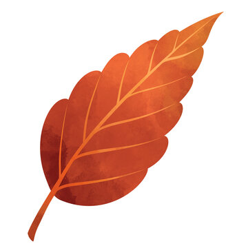 Watercolor illustration of a single red autumn leaf with serrated edges and visible veins on white background