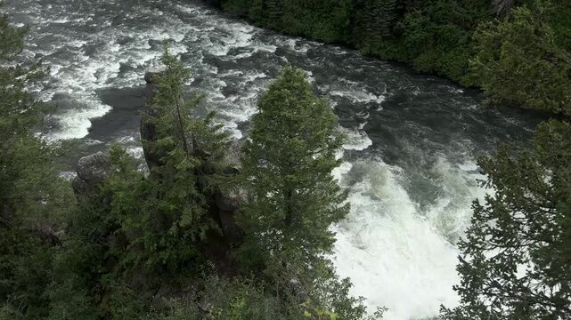 A powerful waterfall on the Henrys Fork of the Snake River with foaming white water, mist, and steep forested canyon walls. Dramatic close-up of the river rushing over dark rock in a lush wilderness.
