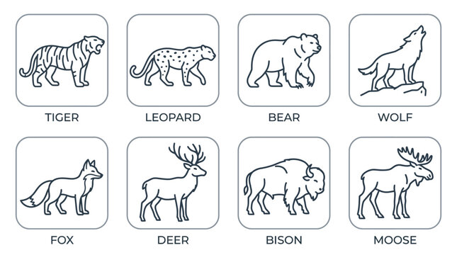 Minimalist wild animal line art icons set featuring forest and jungle wildlife predator and prey species