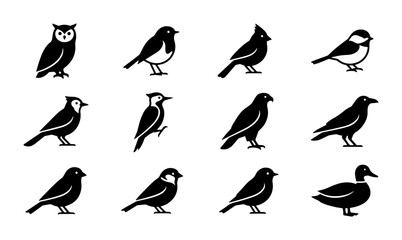 Vector Icons of Diverse Bird Species, Simple Silhouette Collection for Nature and Wildlife Graphics © pixostudio