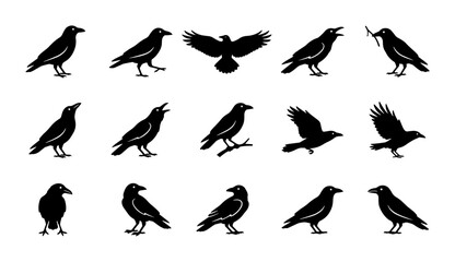 Obraz premium Crow Silhouette Collection: Diverse Poses of Black Birds, Vector Icons for Wildlife and Gothic Themes