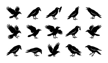 Obraz premium Silhouette Crow Collection: 15 Black Bird Vector Icons, Flying and Perching, Gothic and Mystical Elements