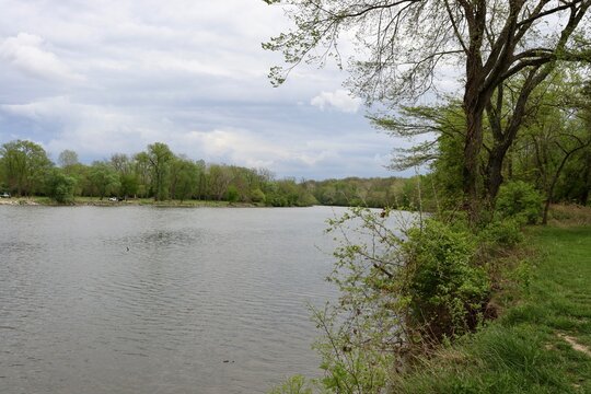 The flowing river in the woods on a cloudy day.